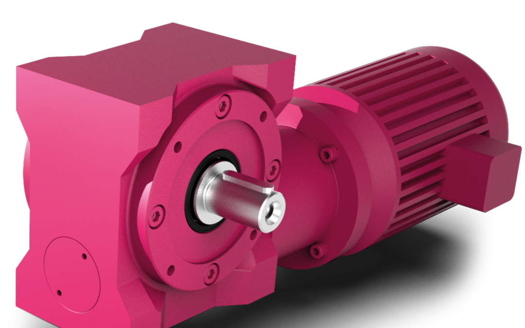 Motoreduktor ślimakowy SLM