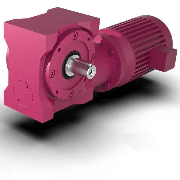 SLM worm gear motor